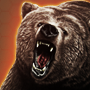 Bear野性之力