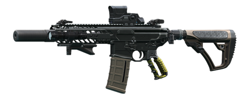 SIG MCX .300 Blackout 突击步枪 T.O 2K24