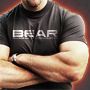 BEAR之威
