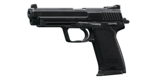 HK USP .45 ACP手枪 Expert