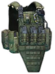Crye Precision AVS plate carrier (Ranger Green)