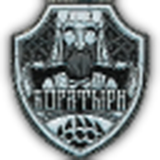 Bogatyr 小队臂章