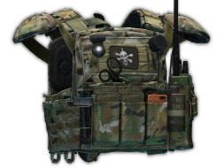 Crye Precision CPC plate carrier (Goons Edition)