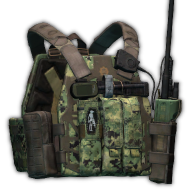S&S Precision PlateFrame plate carrier (Goons Edition)