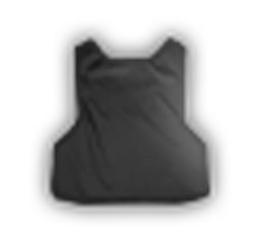 Aramid insert