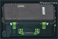 Magazine case