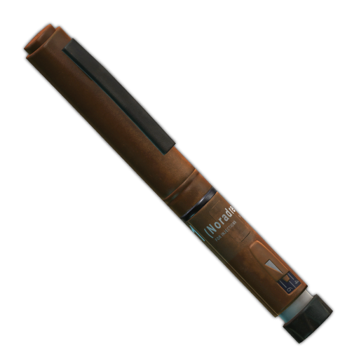 L1（去甲肾上腺素）