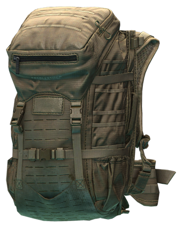 Eberlestock G2 Gunslinger II 背包(干土色)
