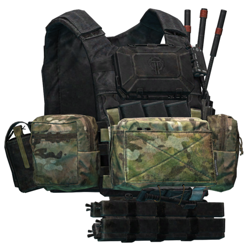 Spiritus Systems LV-119 Plate Carrier (Black Division V2)