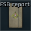 FSB 报告