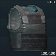 PACA图标
