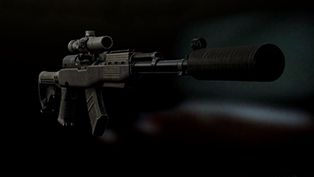 Gunsmith - OP-SKS
