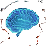 Intellect
