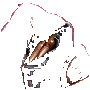 Mag Drills
