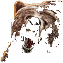 BEAR Raw Power